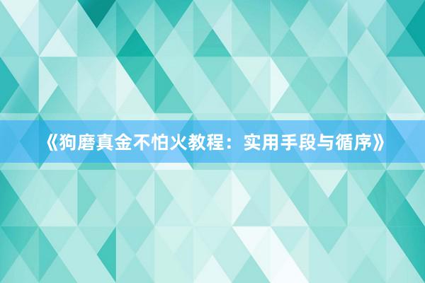 《狗磨真金不怕火教程：实用手段与循序》