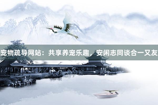 宠物疏导网站：共享养宠乐趣，安闲志同谈合一又友